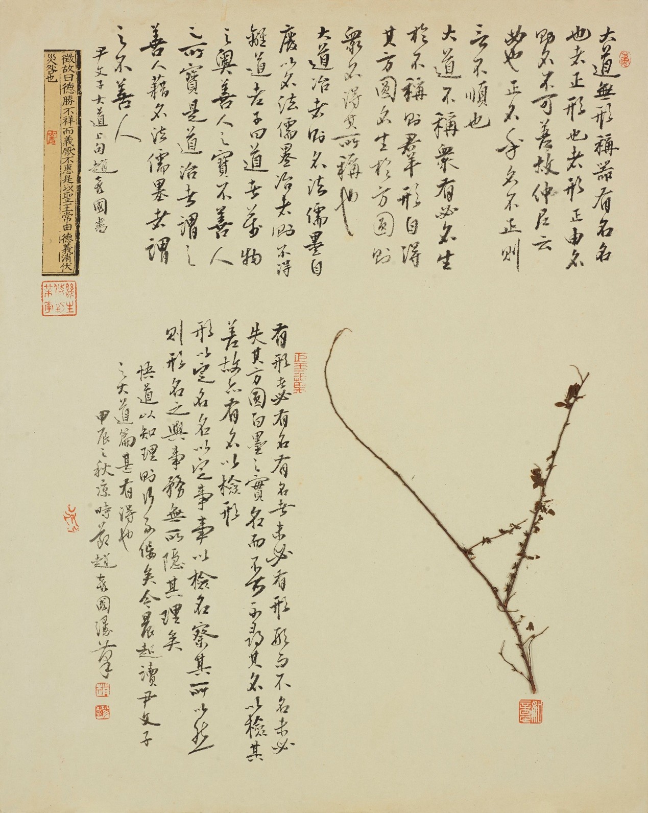 <h2>草木状·素心及物系列之一</h2><p>作者：赵彦国</p><p>创作年代：2025年</p><p>规格：50cm×40cm</p><p>品类：纸本</p>